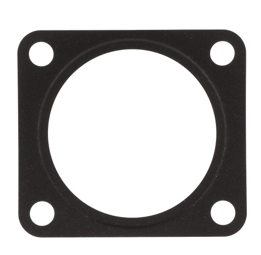 Gasket EGR Valve