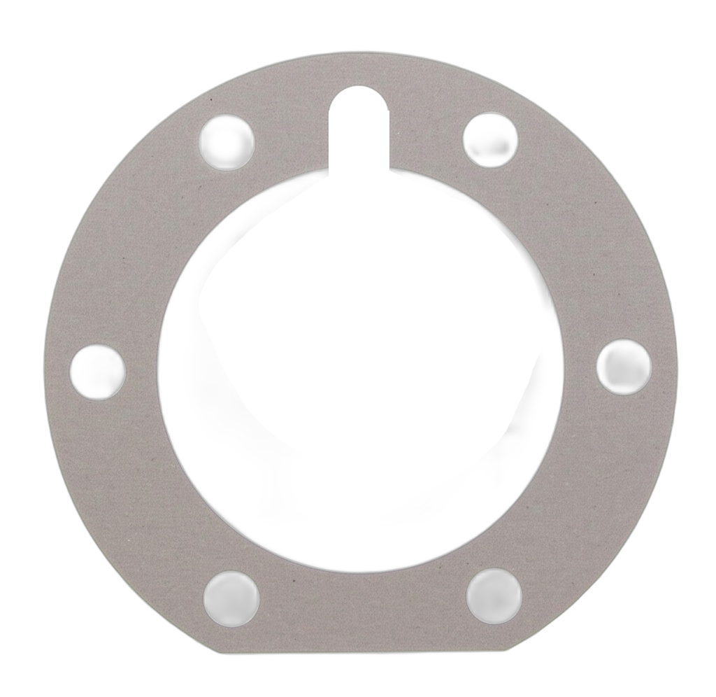 Gasket Brake Oil De