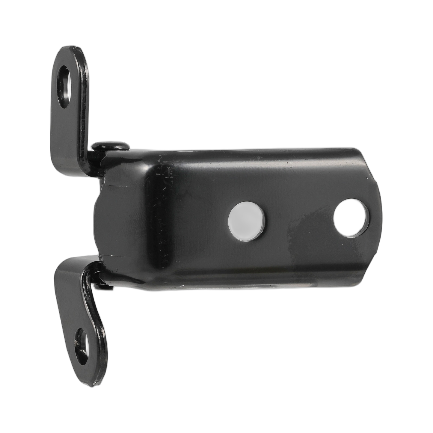 Hinge ASSY RR Door