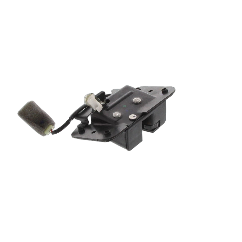Lock ASSY Back Door
