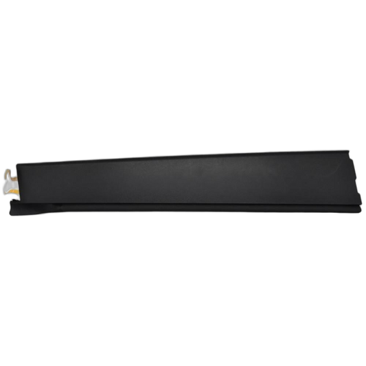 Moulding RR Door