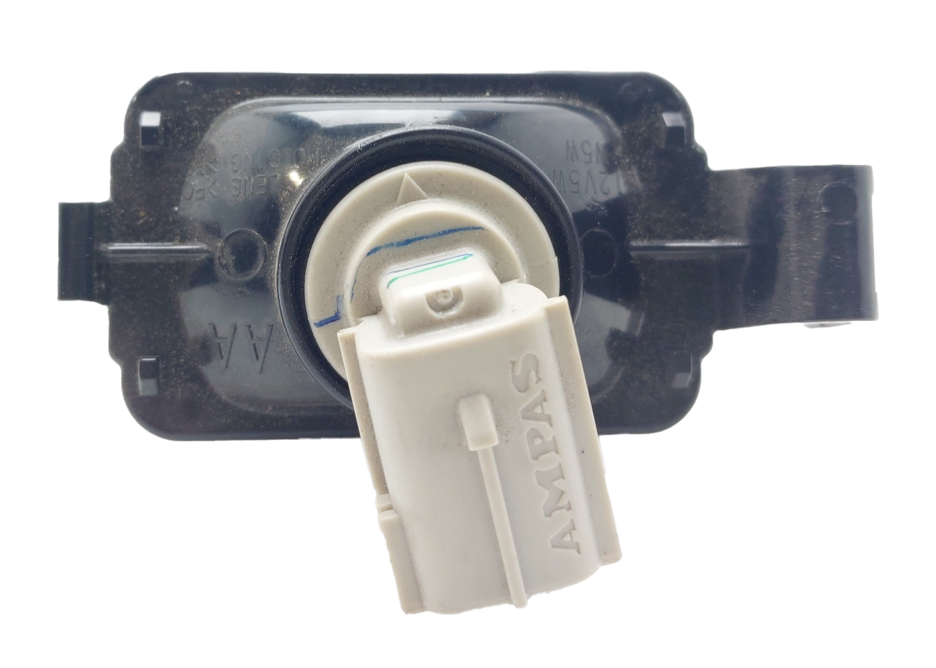 Lamp ASSY License P