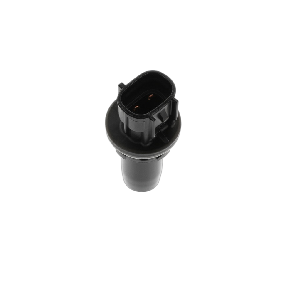 Plug Socket