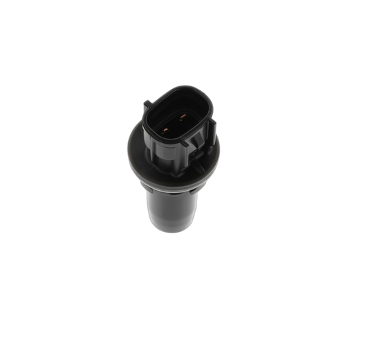 Plug Socket