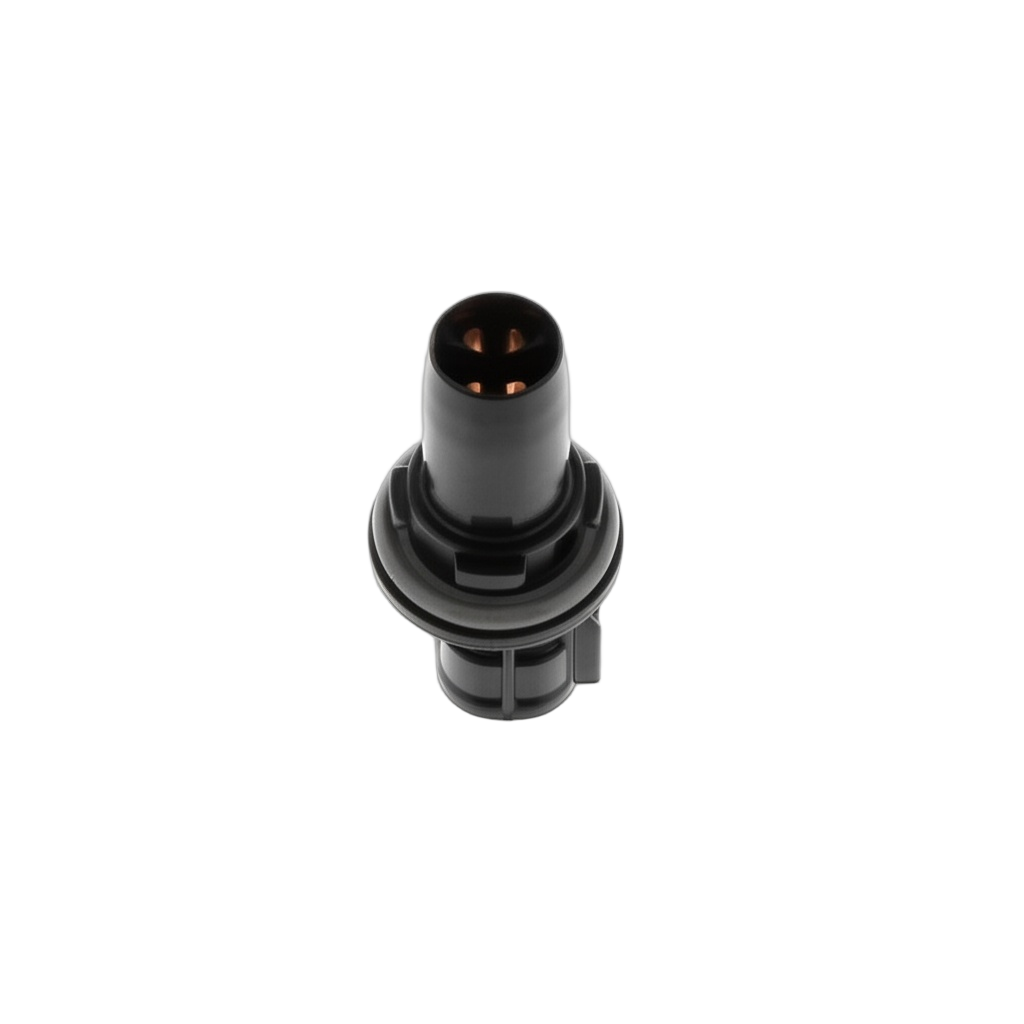 Plug Socket