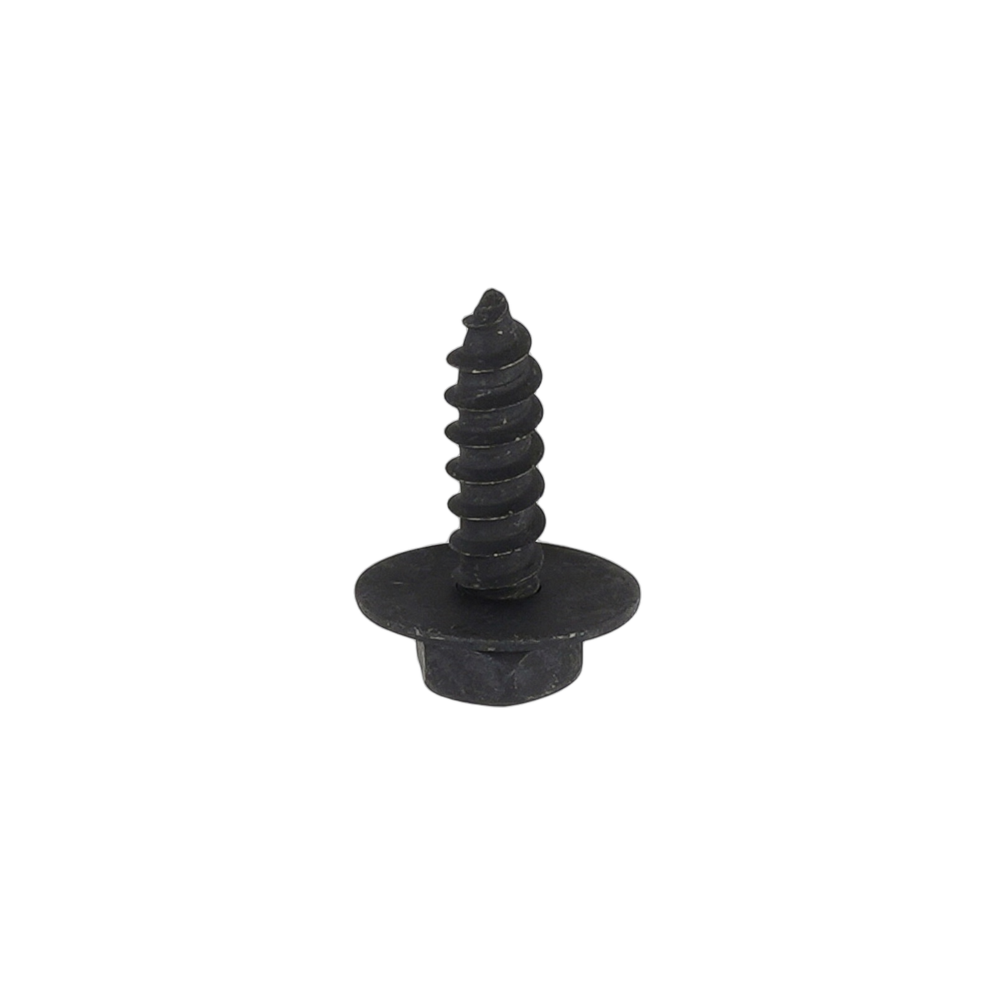 Screw W/Washer