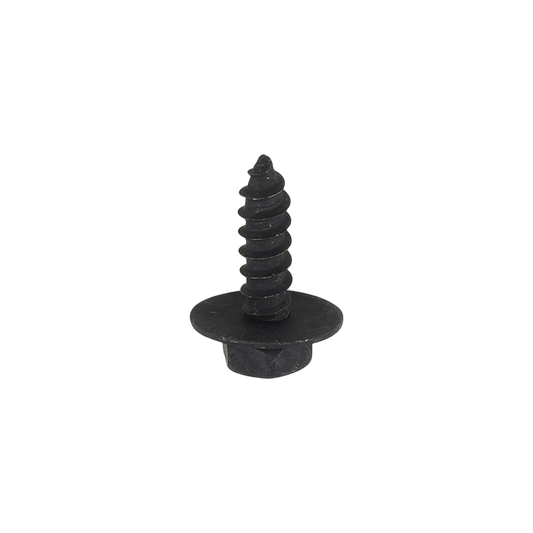 Screw W/Washer