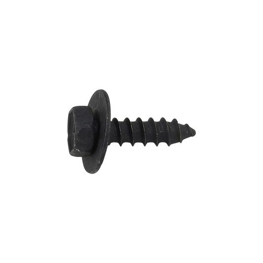 Screw W/Washer