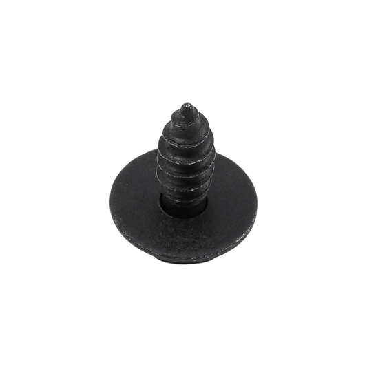 Screw W/Washer