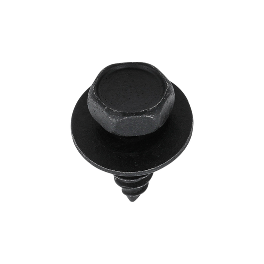 Screw W/Washer