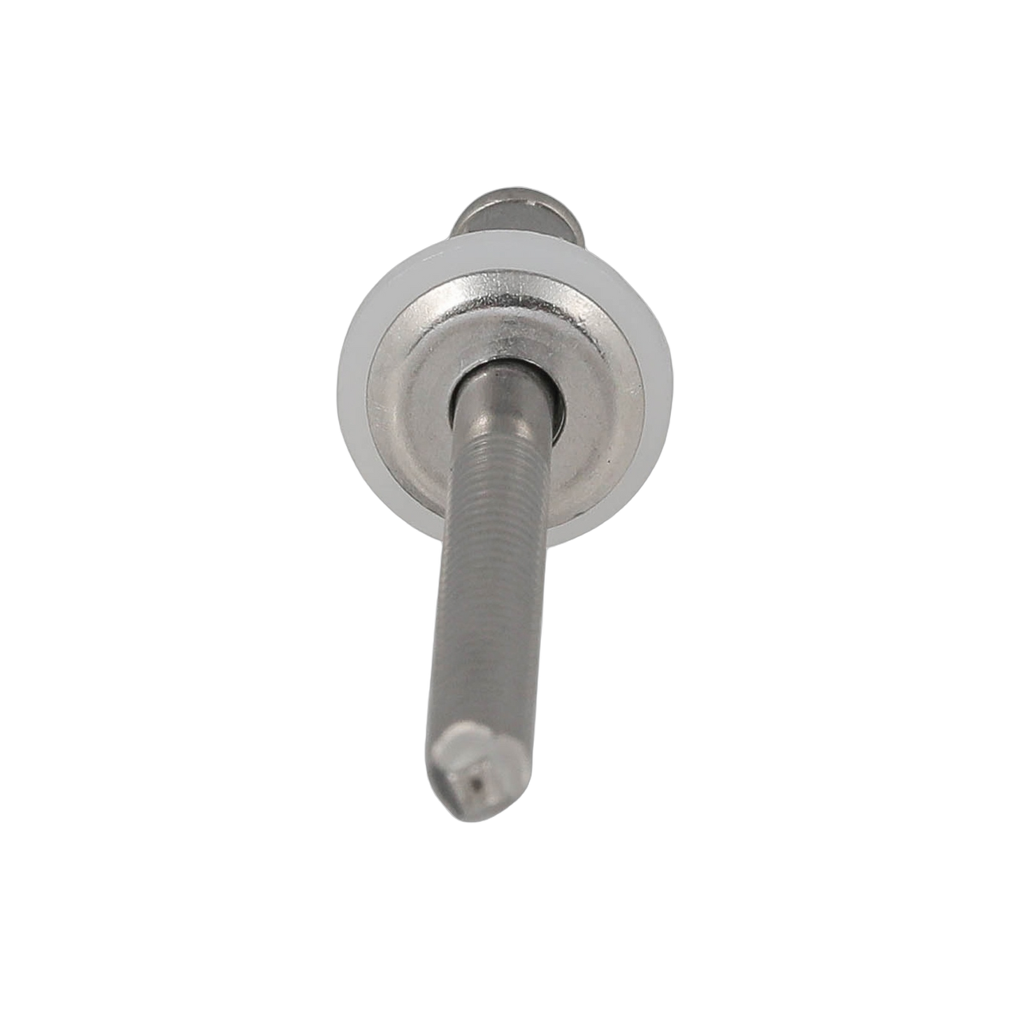 Rivet
