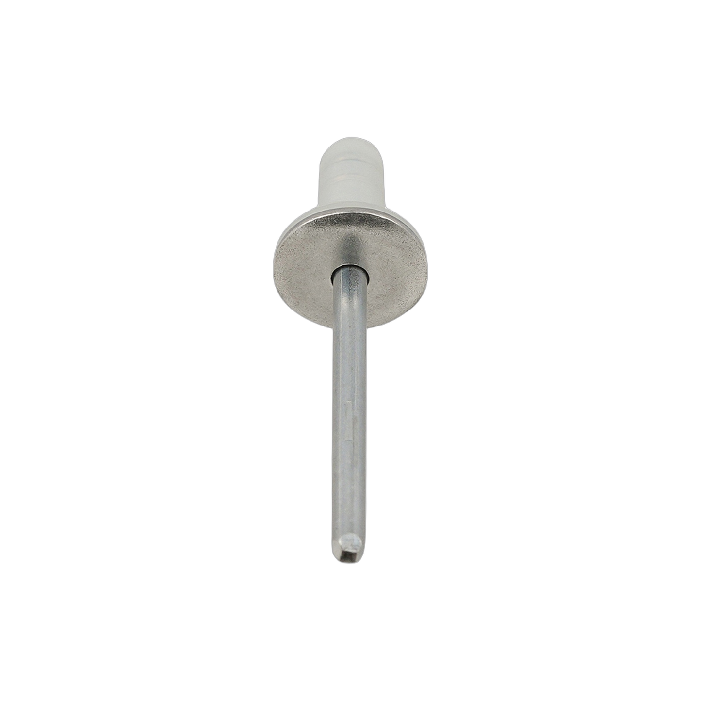 Rivet