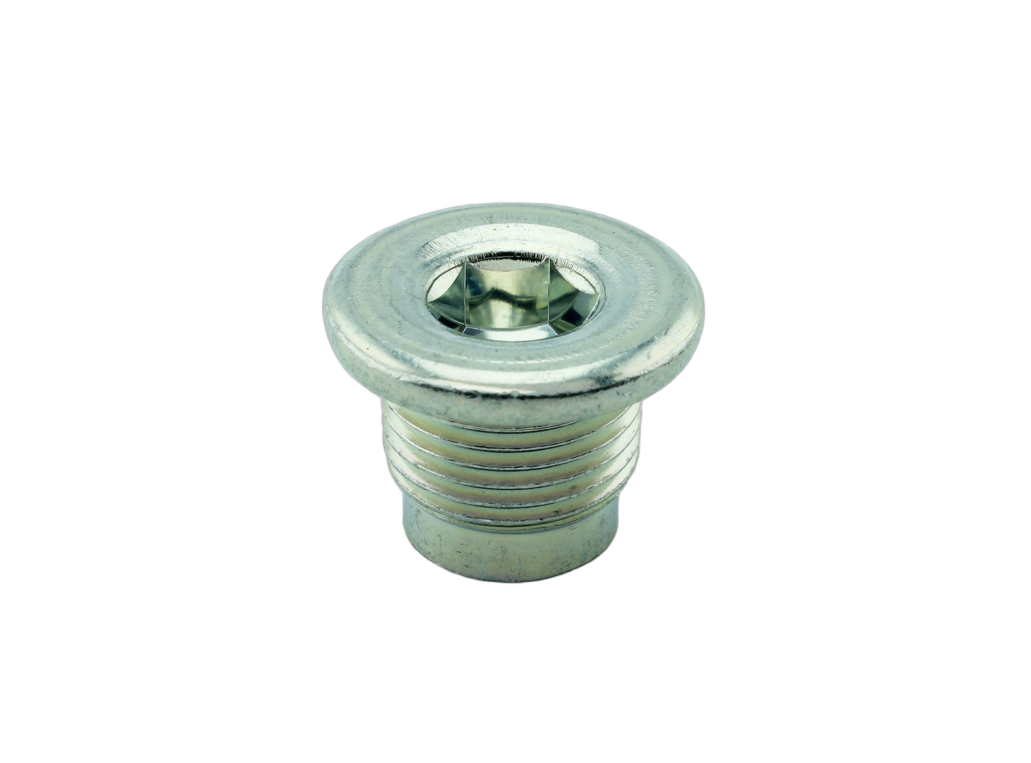 Plug Straight Scre