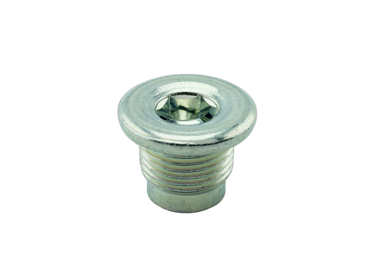 Plug Straight Scre