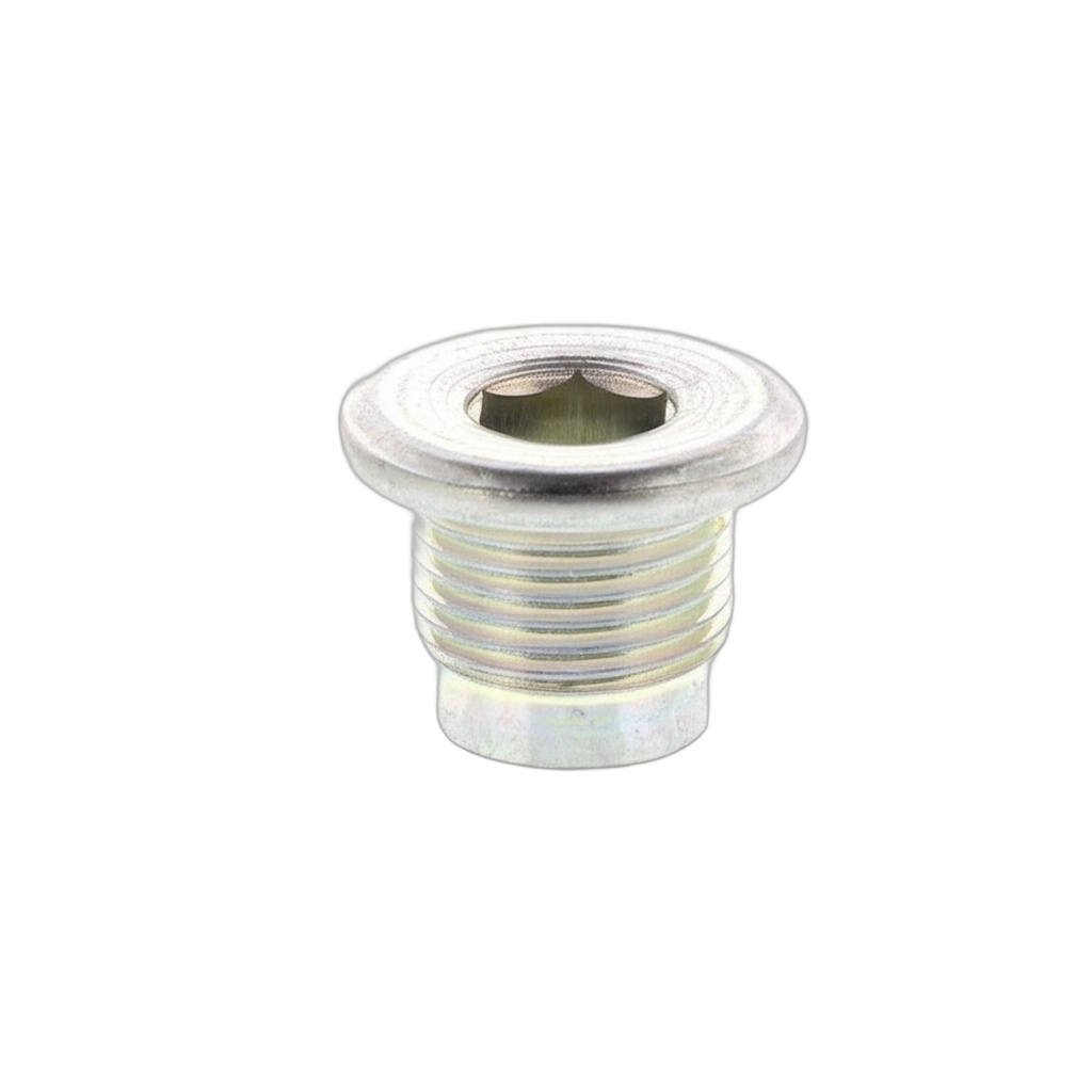 Plug Straight Scre