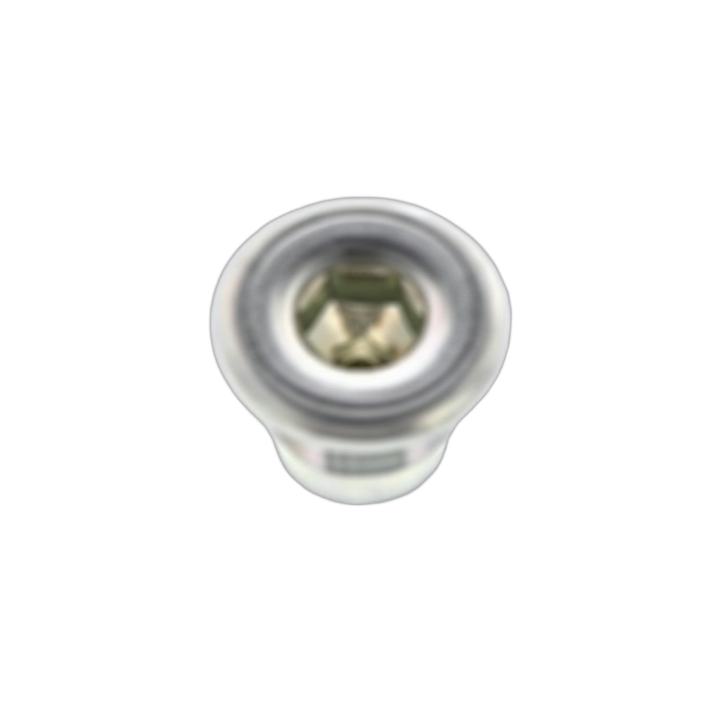 Plug Straight Scre