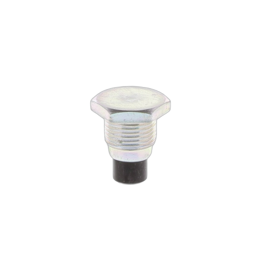 Plug Straight Screw