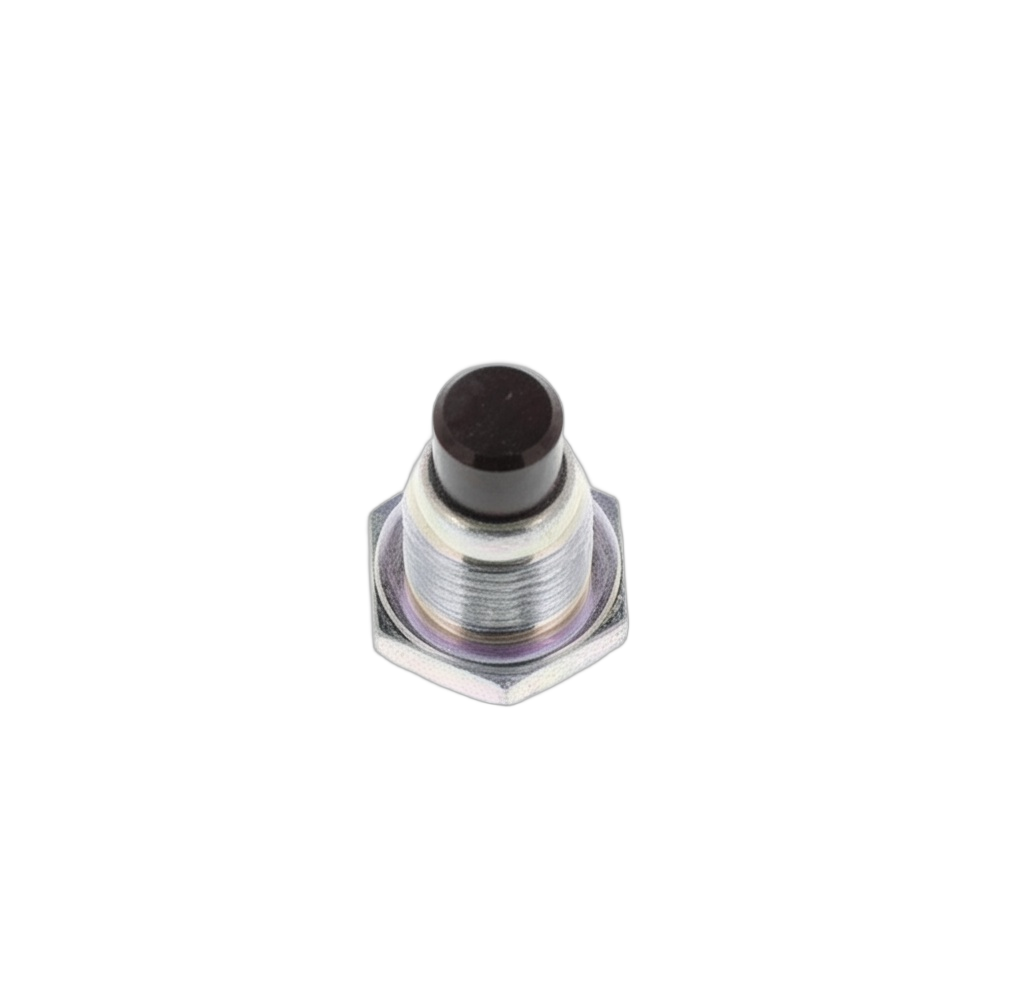 Plug Straight Screw