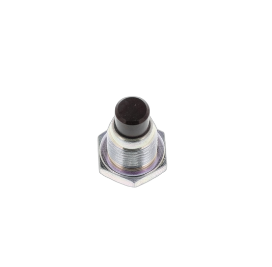Plug Straight Screw