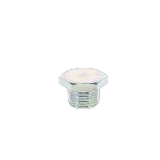 Plug Screw