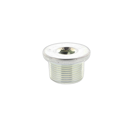 Plug Straight Screw