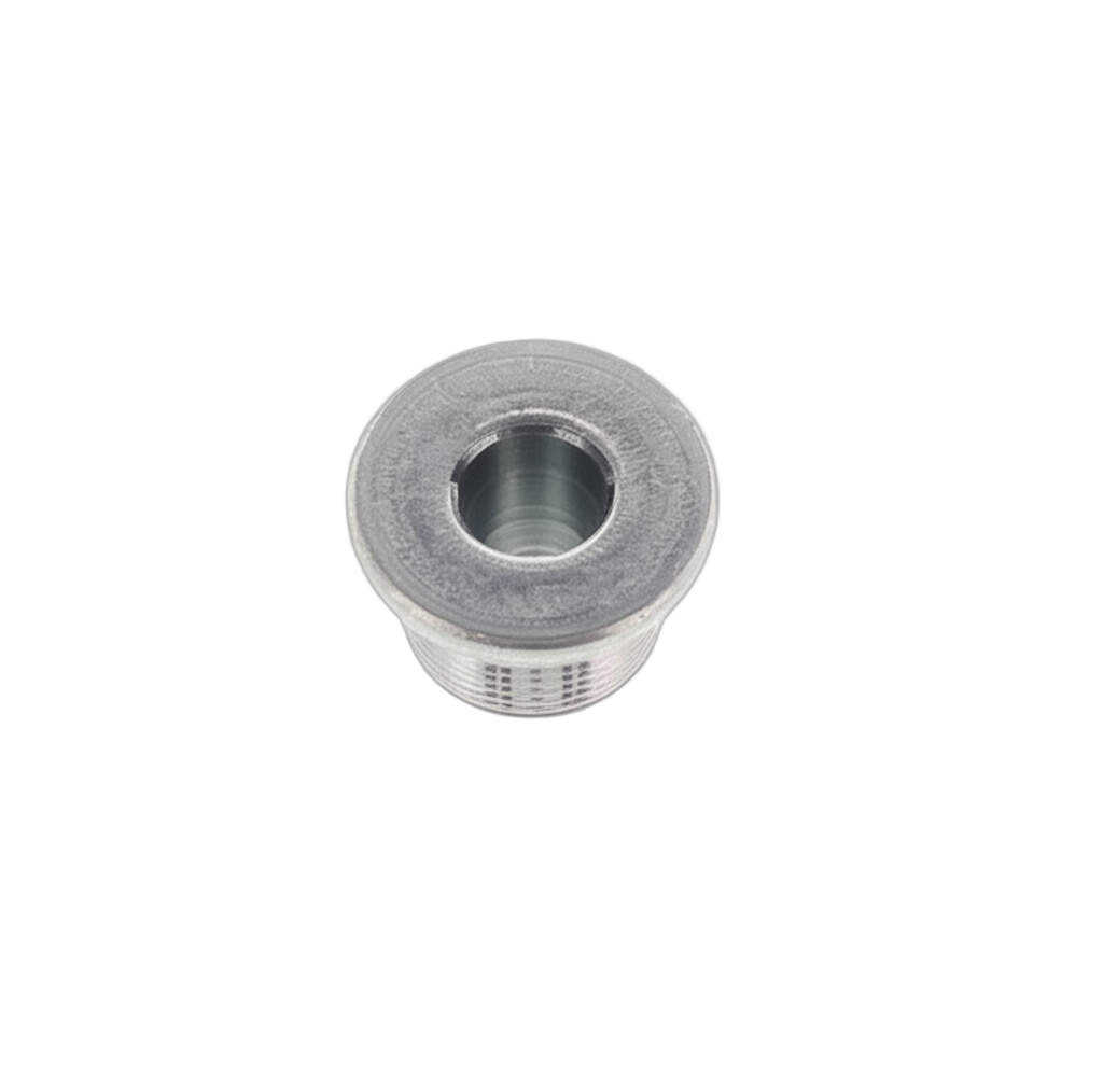 Plug Straight Screw