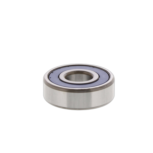 Bearing Radial Ball