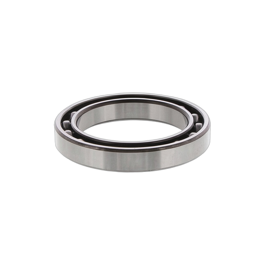 Bearing Radial Ball