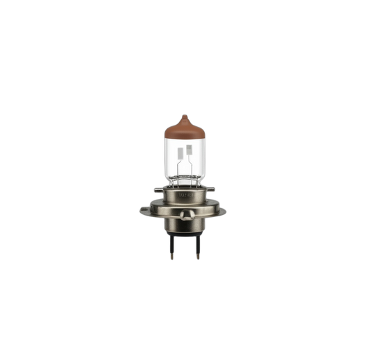Bulb