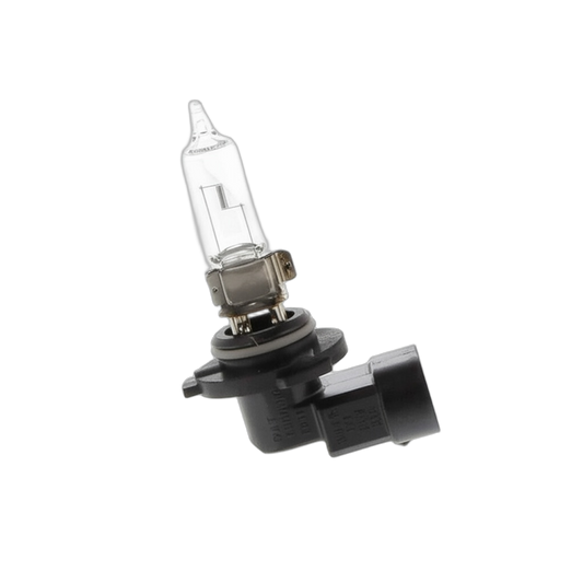 Bulb