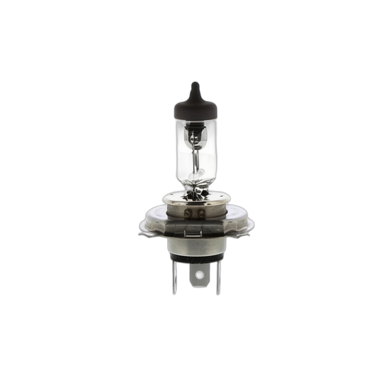 HB2 Bulb 12V 60W55W