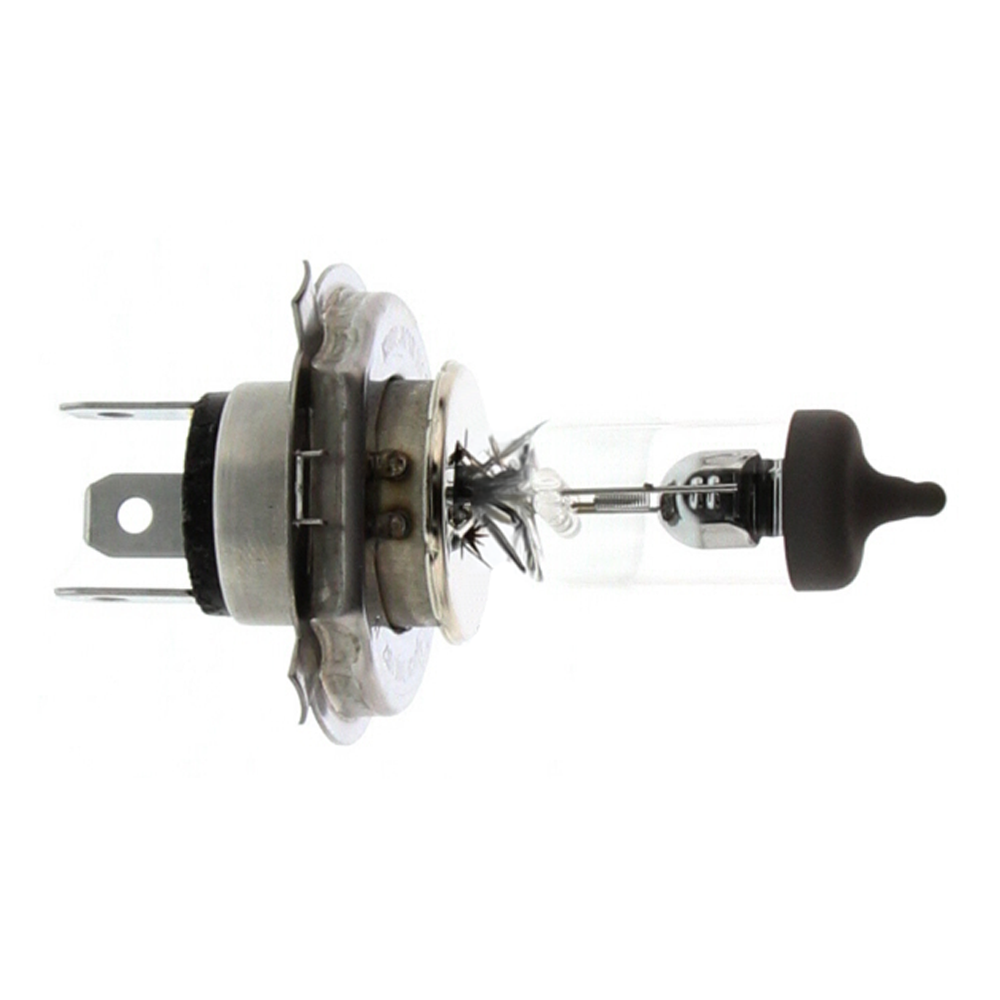 HB2 Bulb 12V 60W55W