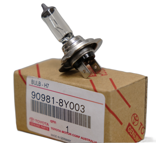Bulb Low Beam H7
