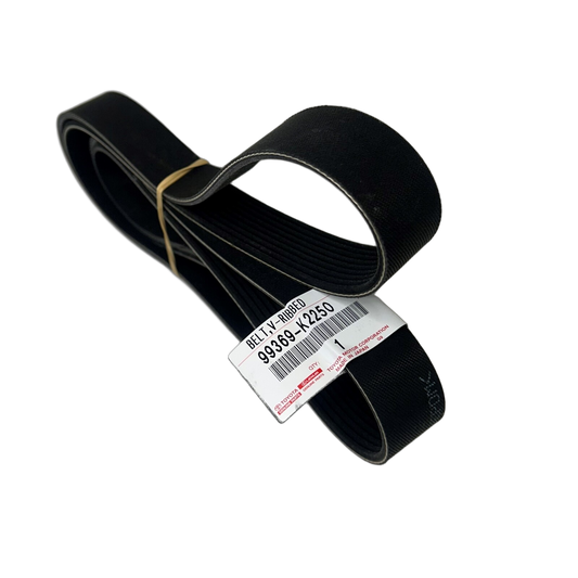 Belt V-Ribbed