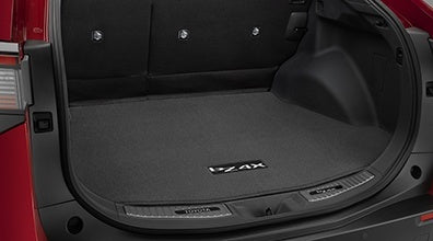Cargo Mat (Rear Speaker)