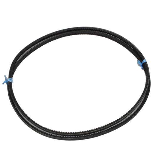 Belt Set V